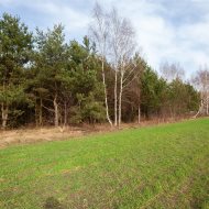 Działka na sprzedaż